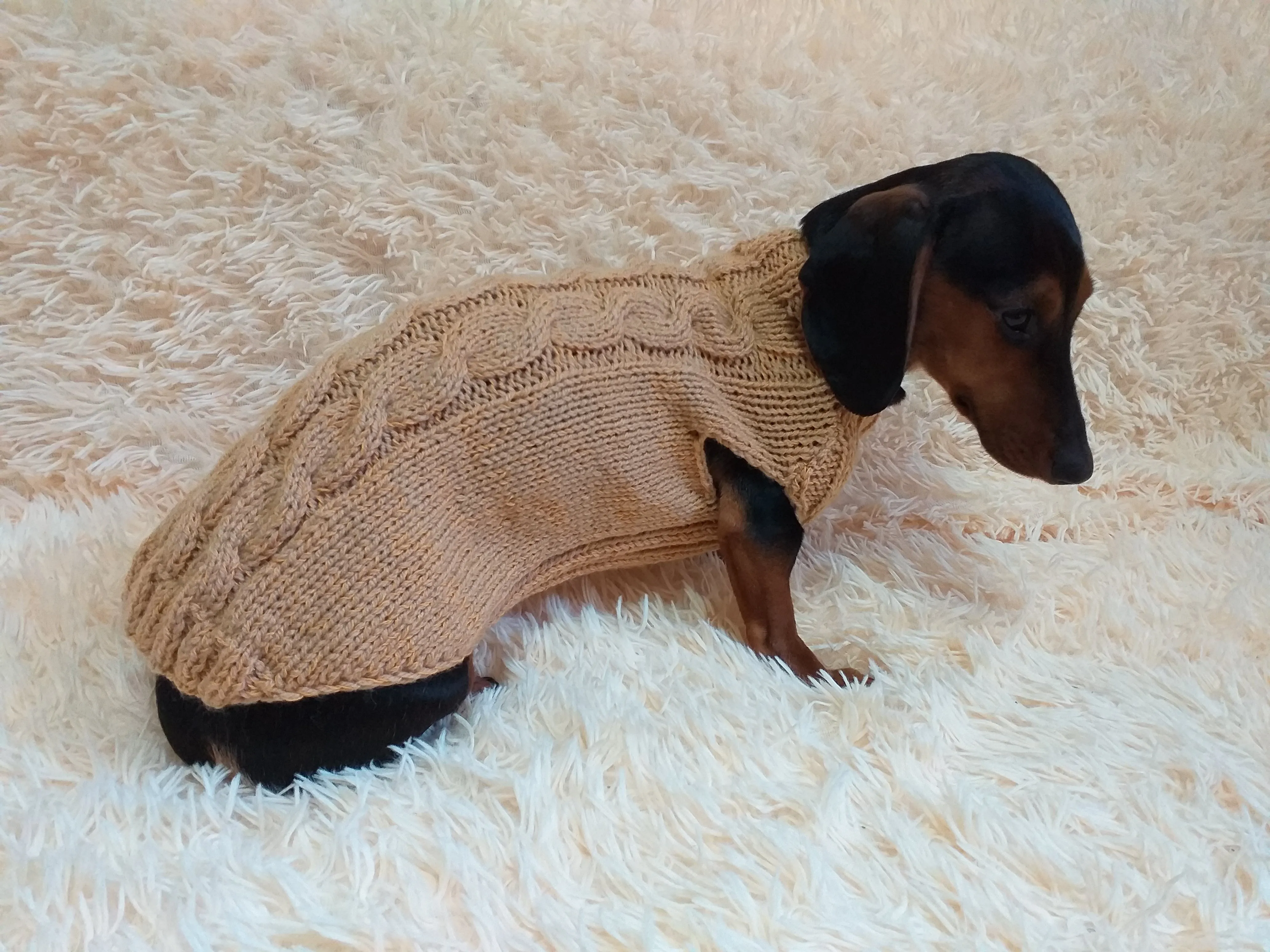 Beige sweater coat for dachshund or small dog