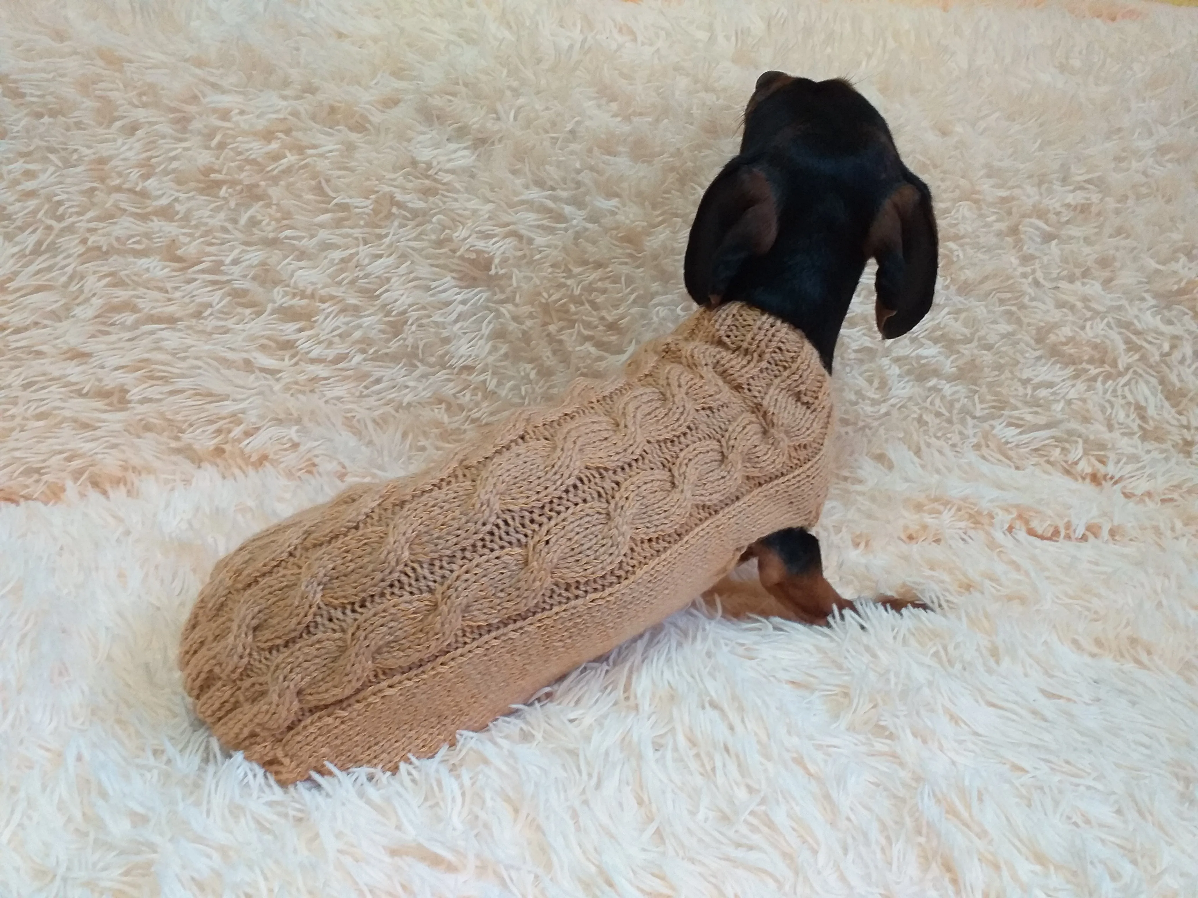 Beige sweater coat for dachshund or small dog