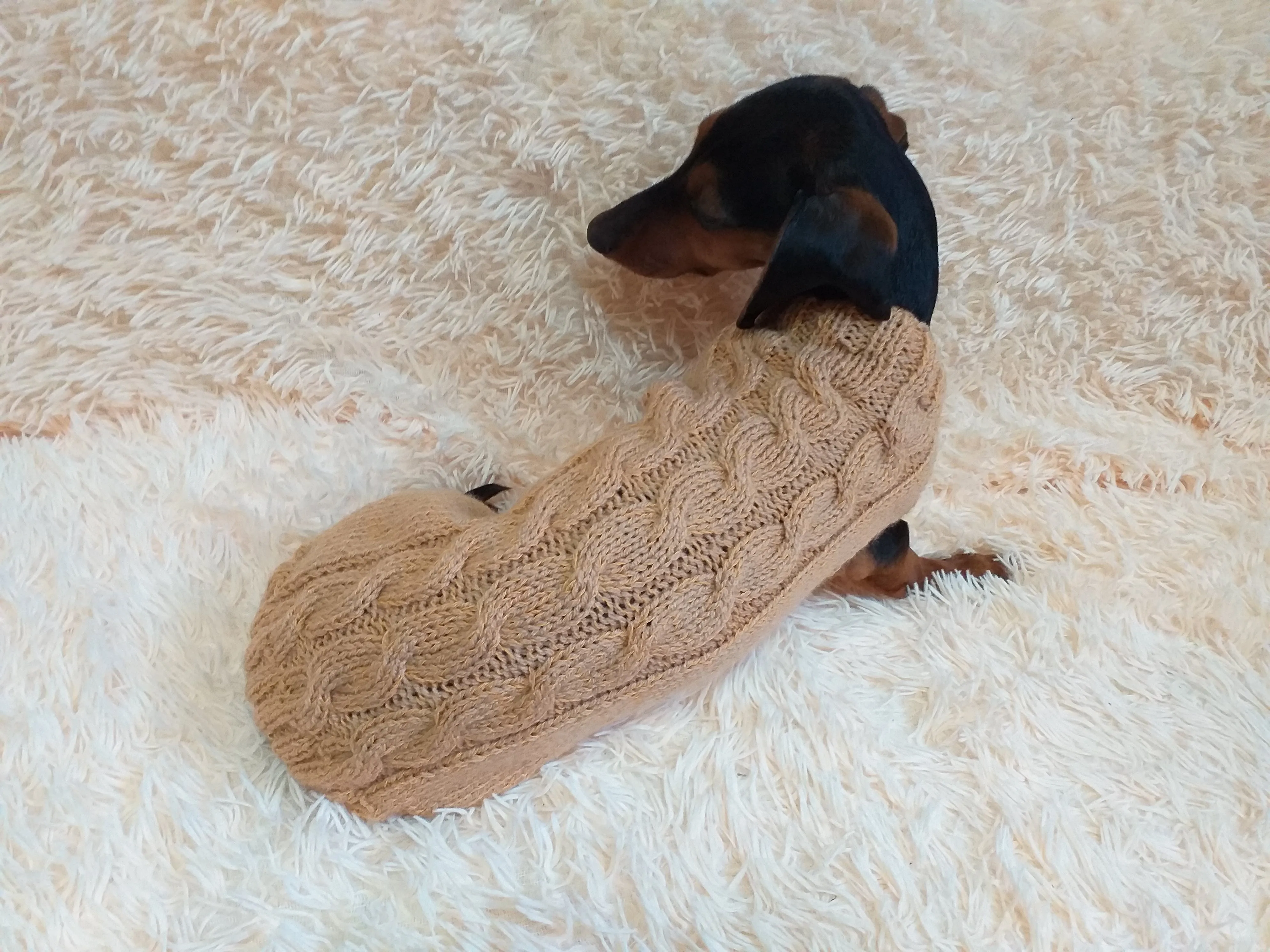 Beige sweater coat for dachshund or small dog