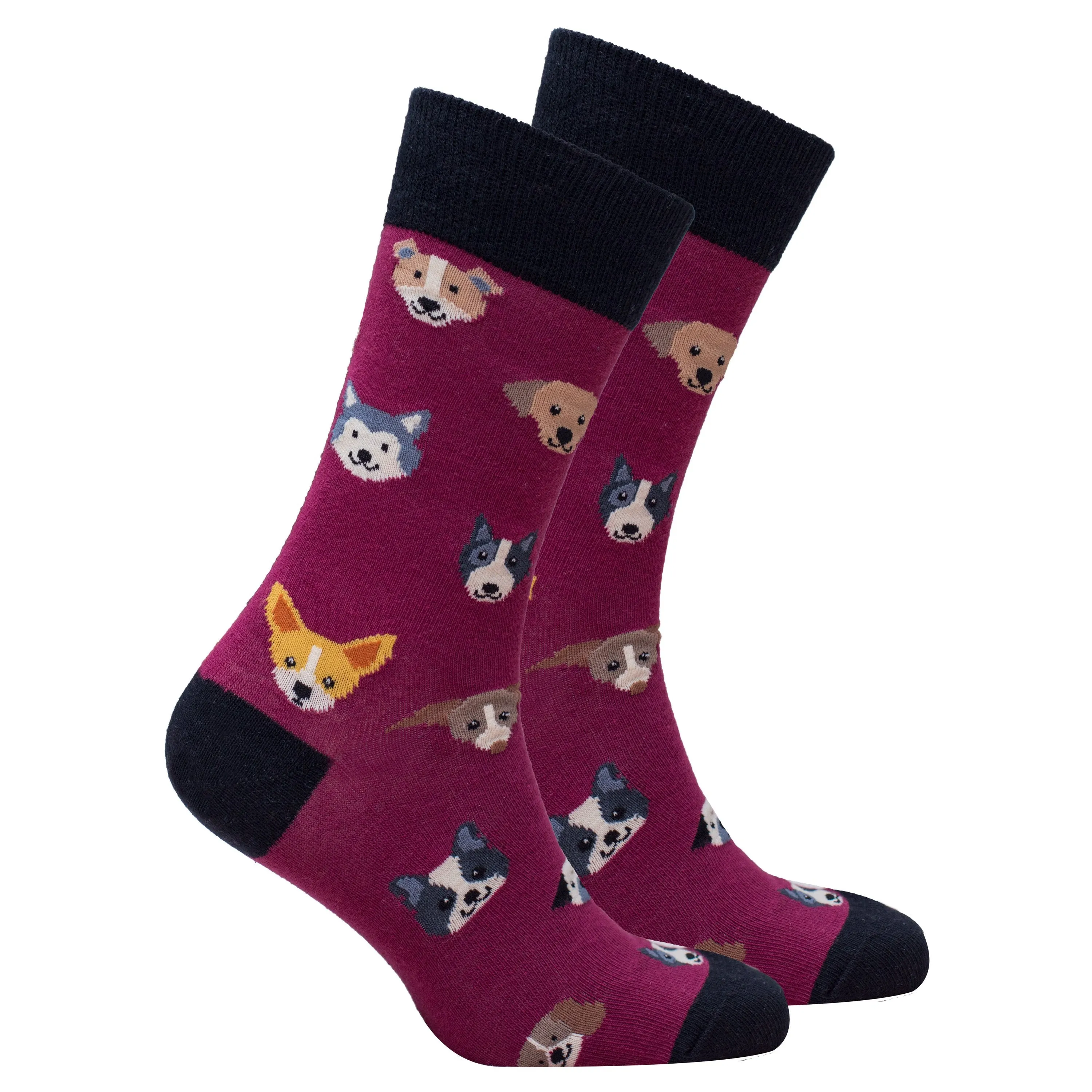 Doggy Socks