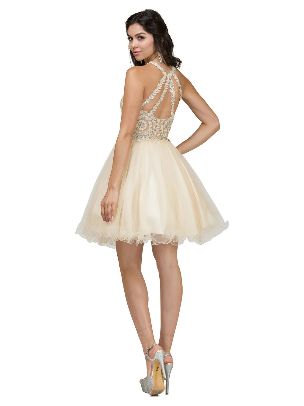 DQ 2156 - Short Homecoming Dress with Lace Appliqué High Neck & Tulle Skirt