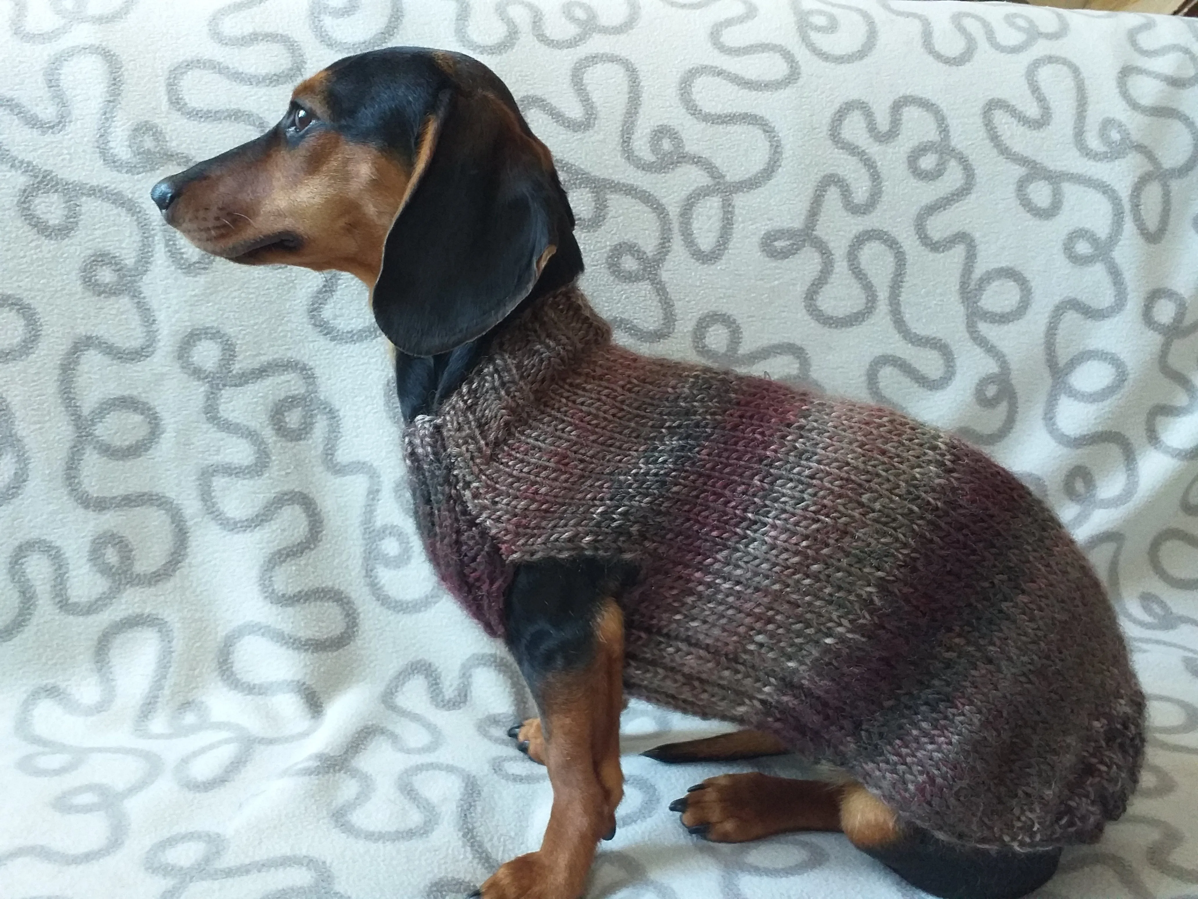 Size L Warm coat for dachshund puppy or small dog, knitted jumper for puppy dachshund, dachshund puppy clothes, wool sweater for small dog