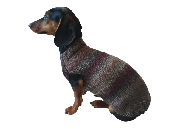 Size L Warm coat for dachshund puppy or small dog, knitted jumper for puppy dachshund, dachshund puppy clothes, wool sweater for small dog