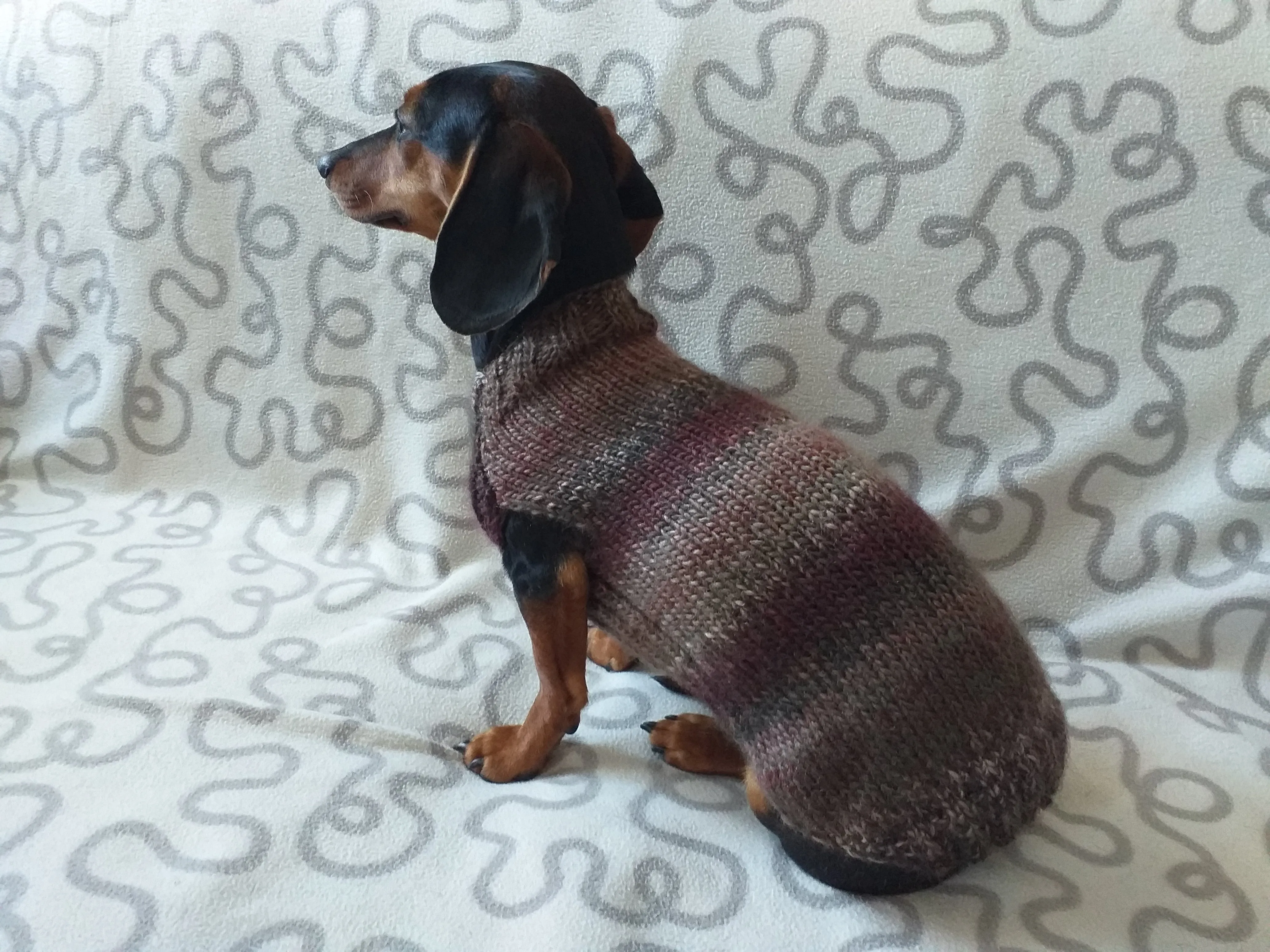 Size L Warm coat for dachshund puppy or small dog, knitted jumper for puppy dachshund, dachshund puppy clothes, wool sweater for small dog