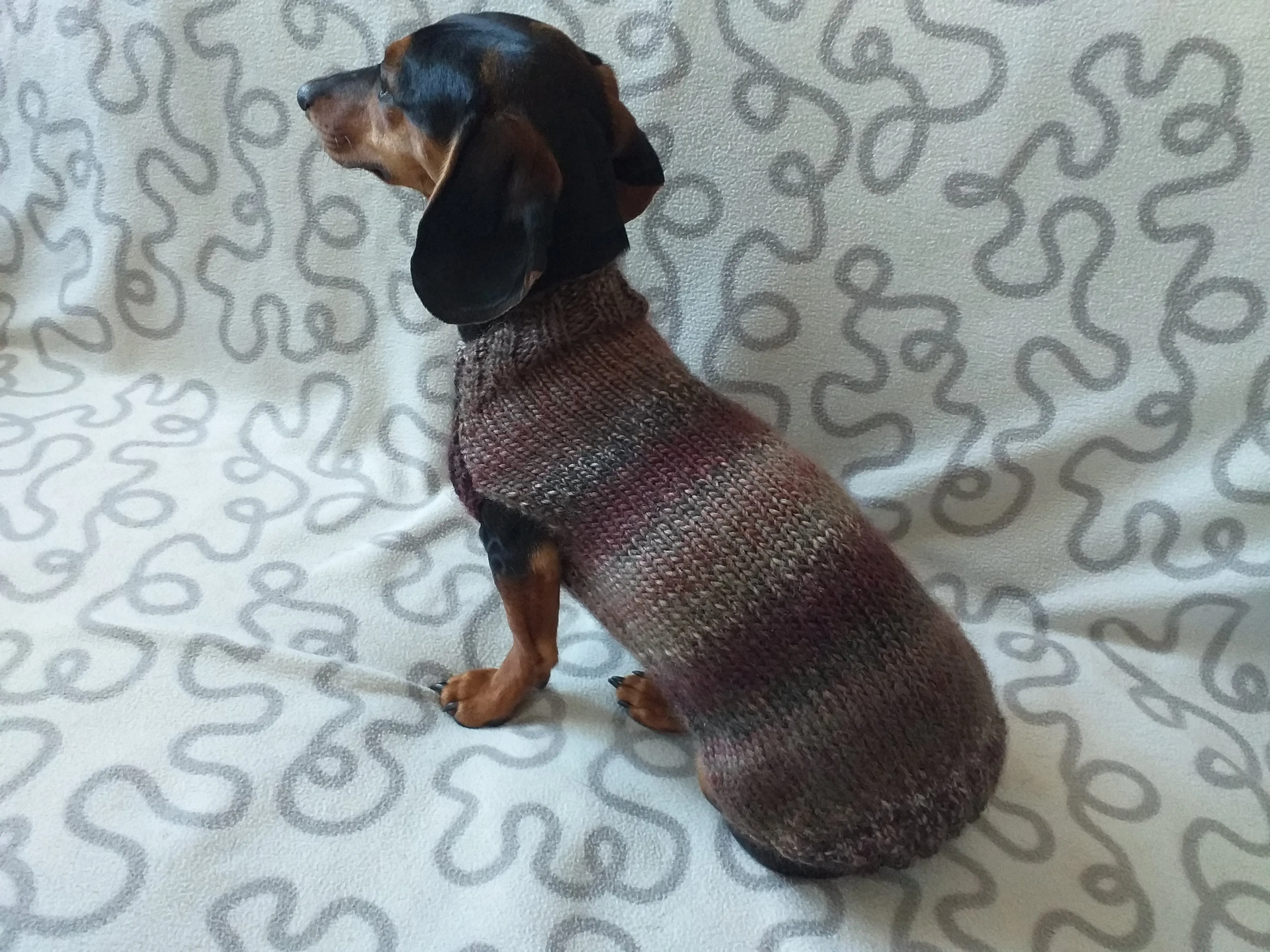 Size L Warm coat for dachshund puppy or small dog, knitted jumper for puppy dachshund, dachshund puppy clothes, wool sweater for small dog