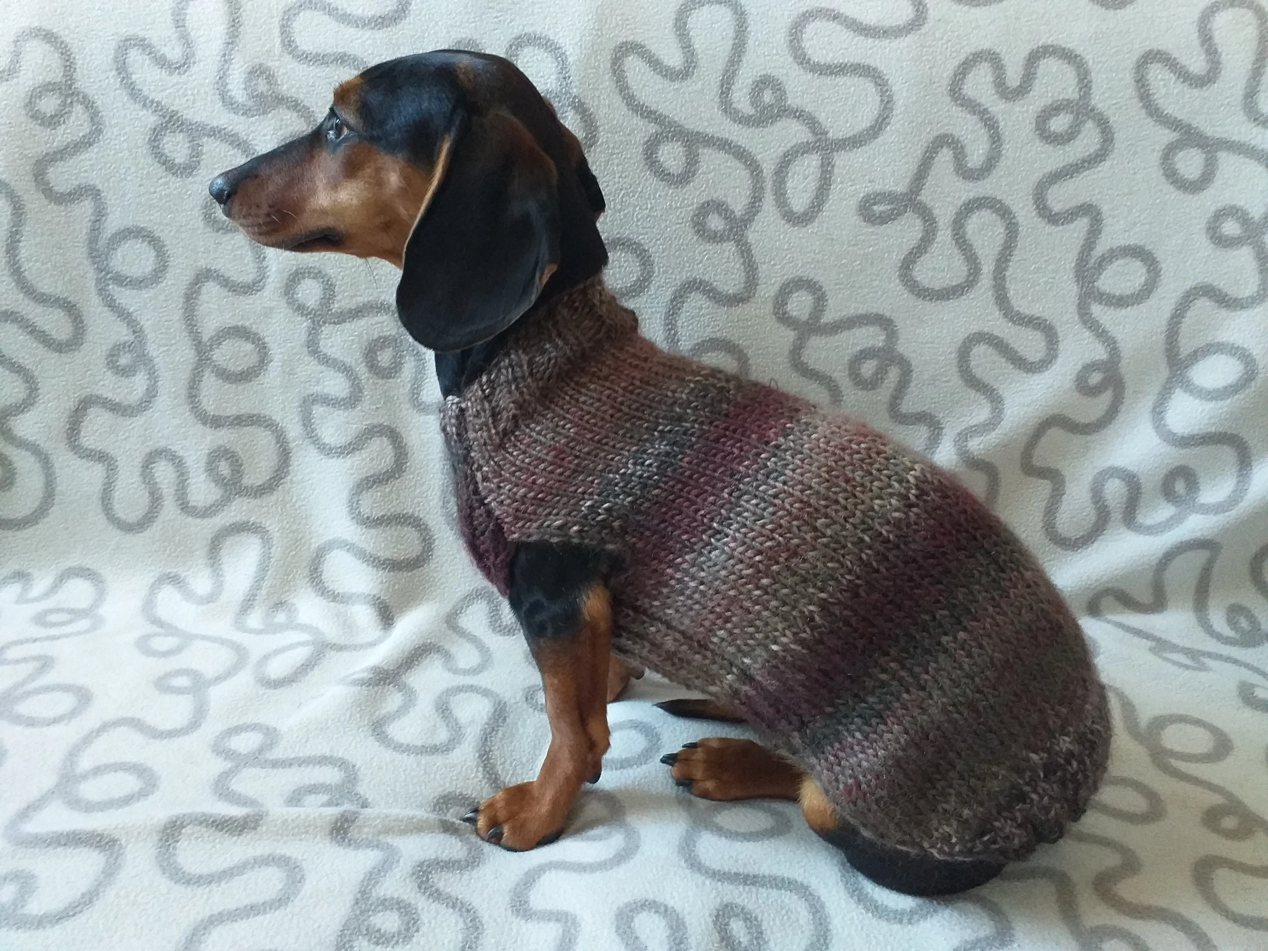 Size L Warm coat for dachshund puppy or small dog, knitted jumper for puppy dachshund, dachshund puppy clothes, wool sweater for small dog