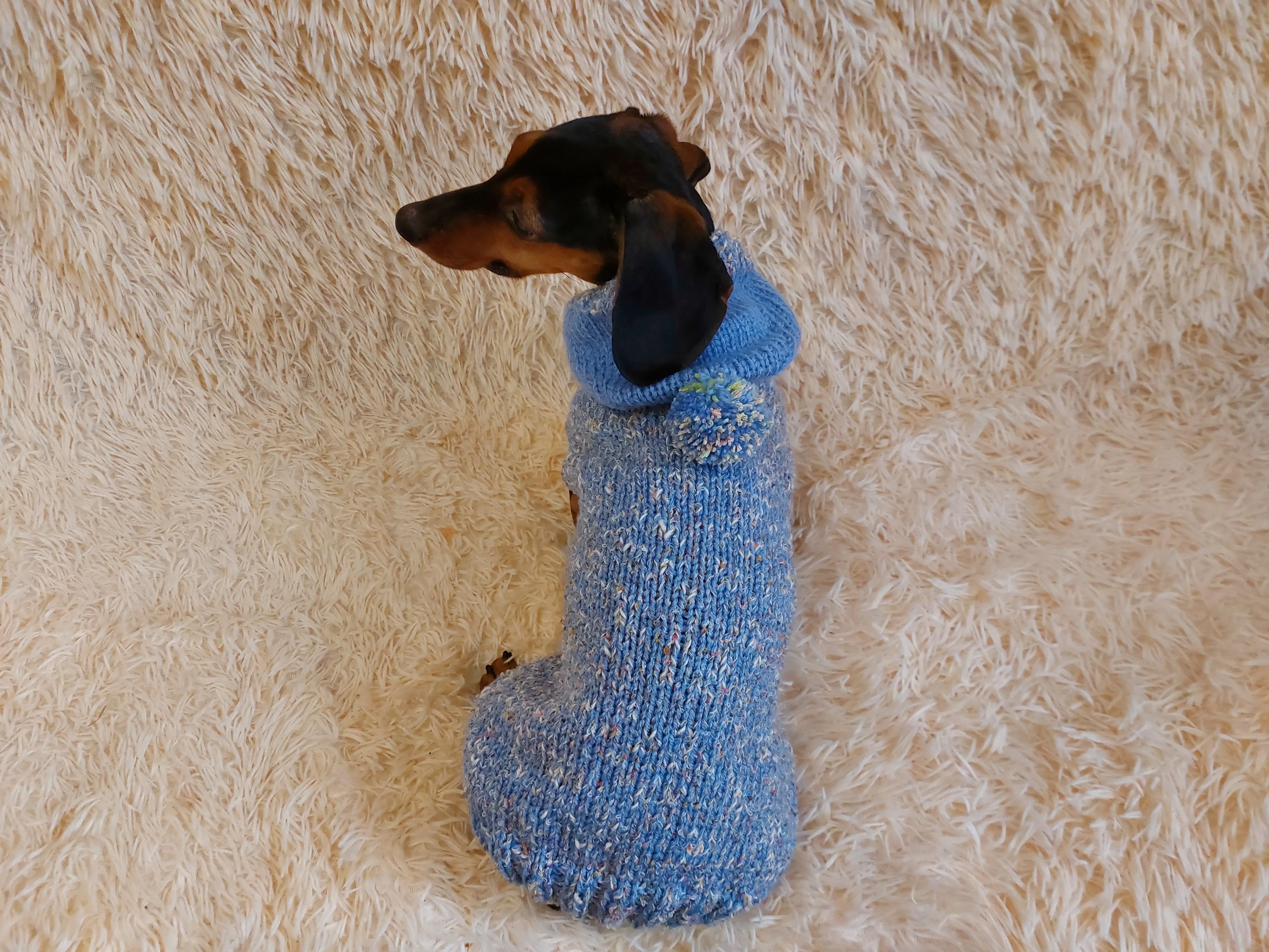 Winter wool coat with hood for dachshund or small dog