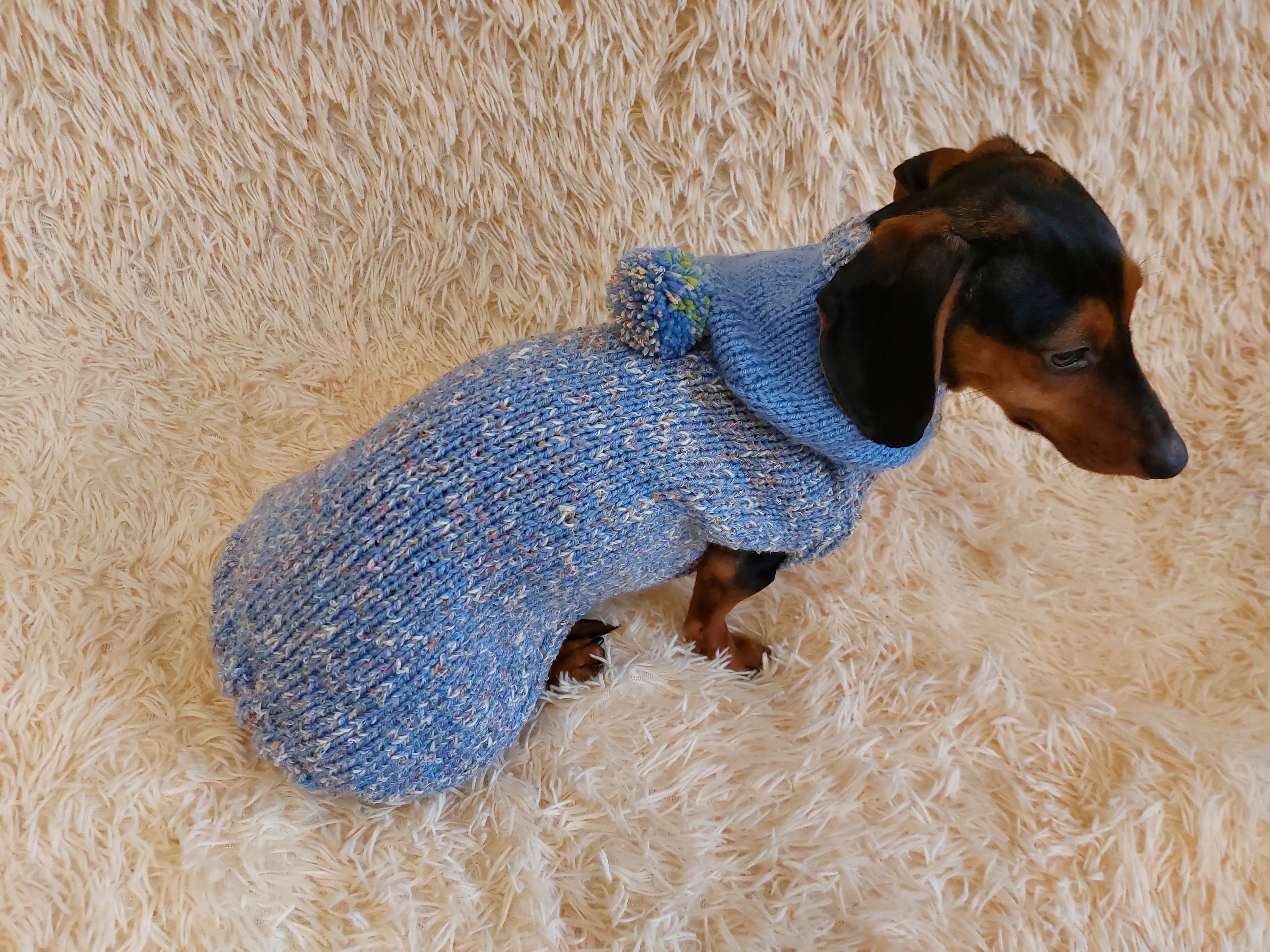 Winter wool coat with hood for dachshund or small dog