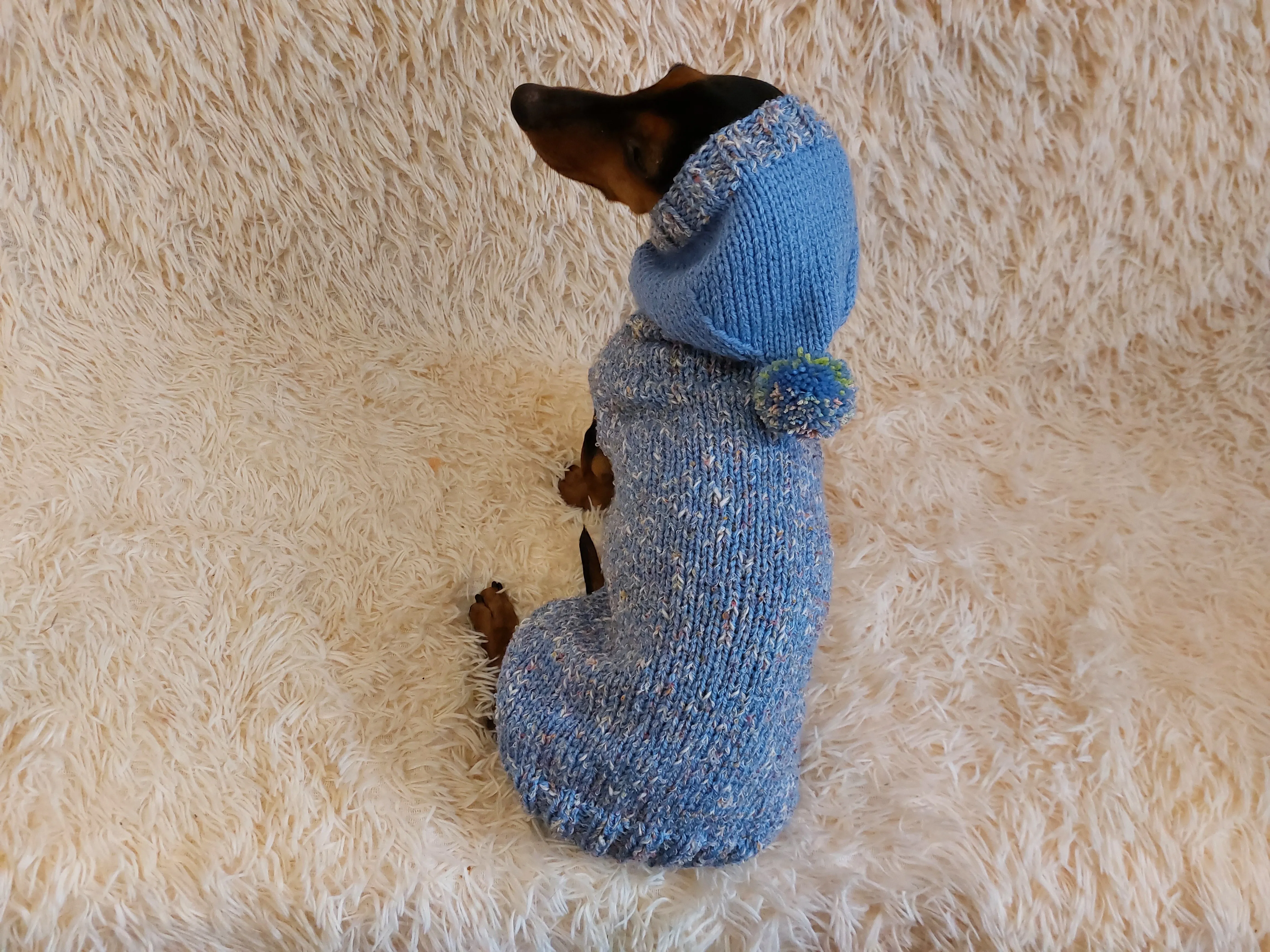 Winter wool coat with hood for dachshund or small dog