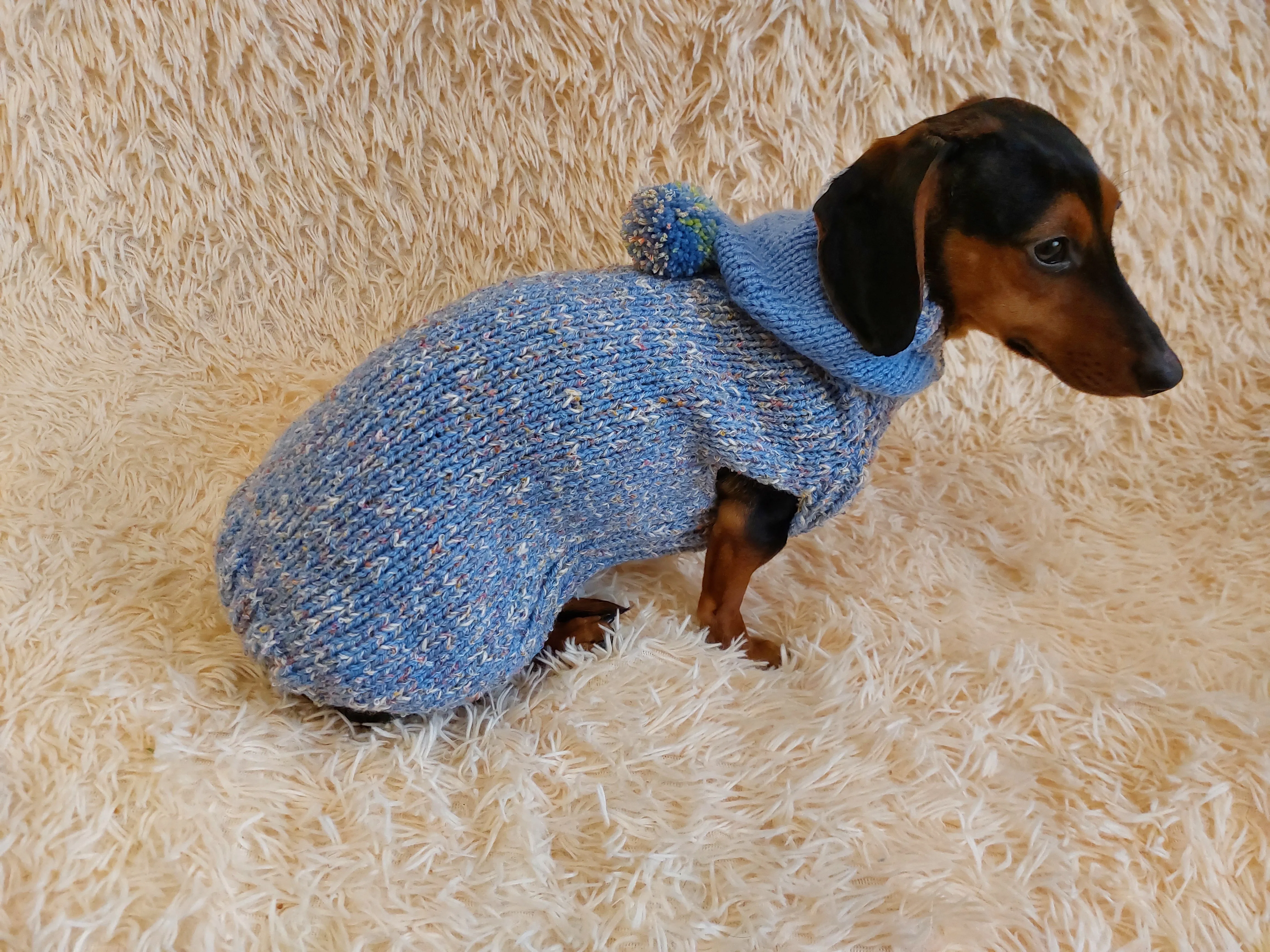 Winter wool coat with hood for dachshund or small dog