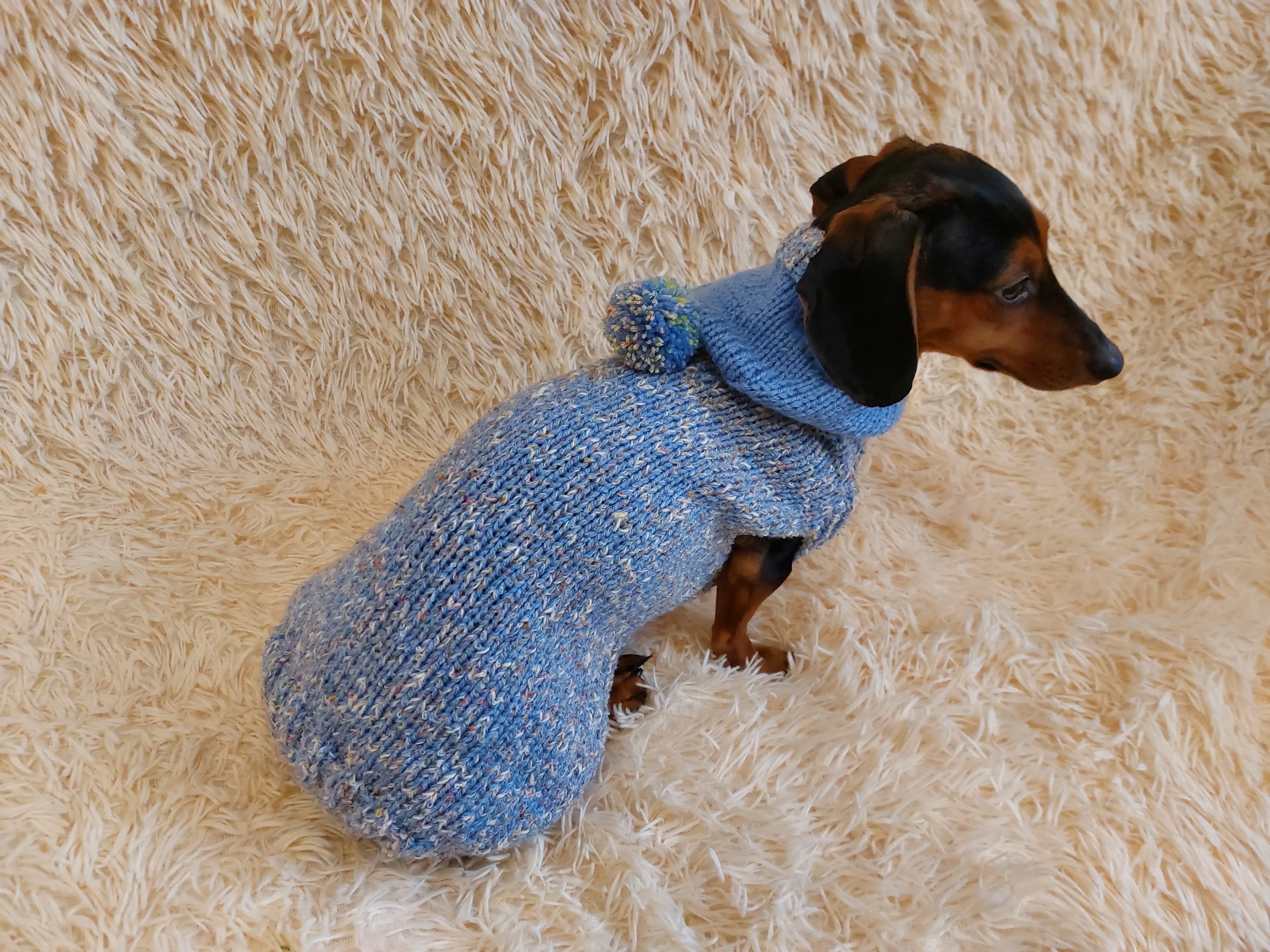 Winter wool coat with hood for dachshund or small dog